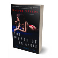 3D view of Premade Erotica Book Cover - Woodsmoke