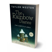 3D view of Premade Fantasy Book Cover - Clay Ash