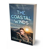 3D view of Premade Mystery & Thriller & Suspense Book Cover - Shuttle Gray