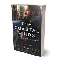 Tablet view of Baltic Sea #24043 - Premade Mystery & Thriller & Suspense Book Cover