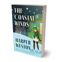 3D view of Premade Teen & Young Adult Book Cover - Jagged Ice