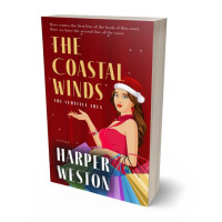 3D view of Premade Business Book Cover - Dark Burgundy