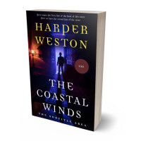 3D view of Premade Mystery & Thriller & Suspense Book Cover - Haiti