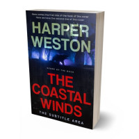 Tablet view of Matrix #24095 - Premade Fantasy Book Cover