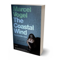 3D view of Premade Teen & Young Adult Book Cover - Blue Bayoux