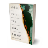 3D view of Premade Mystery & Thriller & Suspense Book Cover - Celtic