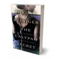 Tablet view of Soft Amber #24874 - Premade Historical Book Cover