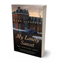 3D view of Premade Literary Fiction Book Cover - Thunder