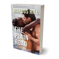 3D view of Premade Erotica Book Cover - Silver Rust