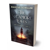 3D view of Ship Gray #25782 - Premade Fantasy Book Cover