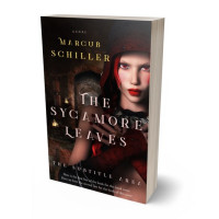 Tablet view of Gondola #25800 - Premade Fantasy Book Cover