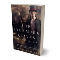 3D view of Premade Fantasy Book Cover - Thunder