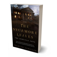 3D view of Premade Horror Book Cover - Night Rider