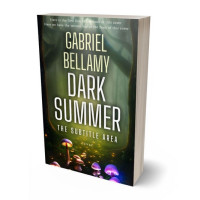 3D view of Premade Fantasy Book Cover - Rangitoto