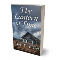 Tablet view of Shuttle Gray #25877 - Premade Literary Fiction Book Cover