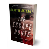 3D view of Oriental Pink #25931 - Premade Mystery & Thriller & Suspense Book Cover