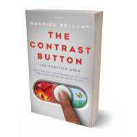 Tablet view of Pale Slate #26097 - Premade Politics & Law & Society Book Cover