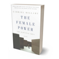 Tablet view of Ironside Gray #26101 - Premade Self-Improvement & Self-Help Book Cover