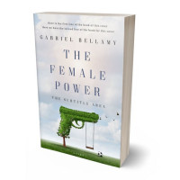 Tablet view of Iron #26103 - Premade Politics & Law & Society Book Cover