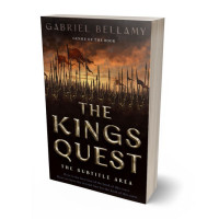 3D view of Premade Historical Book Cover - Night Rider