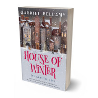 3D view of Premade Fantasy Book Cover - Gray Suit