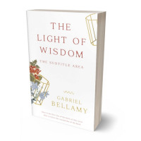 3D view of Premade Abstract Book Cover - Westar