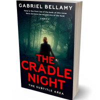 3D view of Premade Mystery & Thriller & Suspense Book Cover - Cinnabar