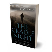 3D view of Premade Mystery & Thriller & Suspense Book Cover - Bronco