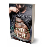 3D view of Premade Erotica Book Cover - Thunder