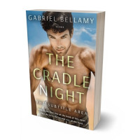 3D view of Premade Erotica Book Cover - Leather