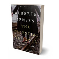 3D view of Premade Mystery & Thriller & Suspense Book Cover - Cloudy