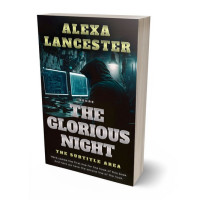 3D view of Premade Mystery & Thriller & Suspense Book Cover - Ash