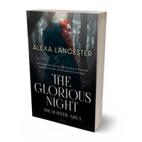 3D view of Premade Romance Book Cover - Woodsmoke