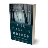 3D view of Premade Mystery & Thriller & Suspense Book Cover - Firefly