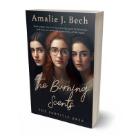 3D view of Premade Teen & Young Adult Book Cover - Baltic Sea