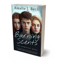 3D view of Premade Teen & Young Adult Book Cover - Pumice