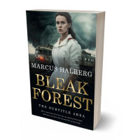 Tablet view of Heathered Gray #26772 - Premade Apocalyptica Book Cover