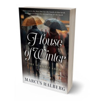 3D view of Premade Romance Book Cover - Silver Rust