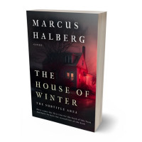 3D view of Premade Mystery & Thriller & Suspense Book Cover - Thunder