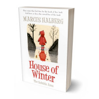 Tablet view of Birch #26847 - Premade Teen & Young Adult Book Cover