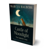 3D view of Premade Teen & Young Adult Book Cover - Firefly