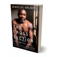 Tablet view of My Pink #26998 - Premade Mystery & Thriller & Suspense Book Cover