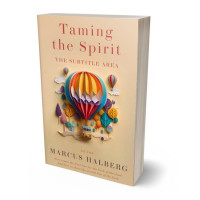 3D view of Premade Fantasy Book Cover - Brandy