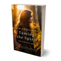 3D view of Premade Teen & Young Adult Book Cover - Graphite