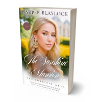 Tablet view of Indian Khaki #27232 - Premade Fantasy Book Cover