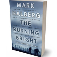 Tablet view of Bali Hai #27295 - Premade Apocalyptica Book Cover