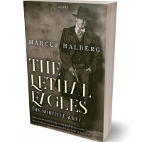 3D view of Premade Historical Book Cover - Birch