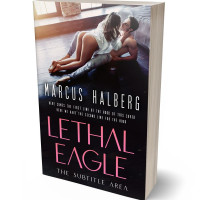 3D view of Premade Erotica Book Cover - Thunder