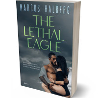 3D view of Premade Erotica Book Cover - Limed Spruce