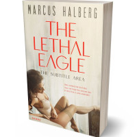 3D view of Premade Erotica Book Cover - White Rock